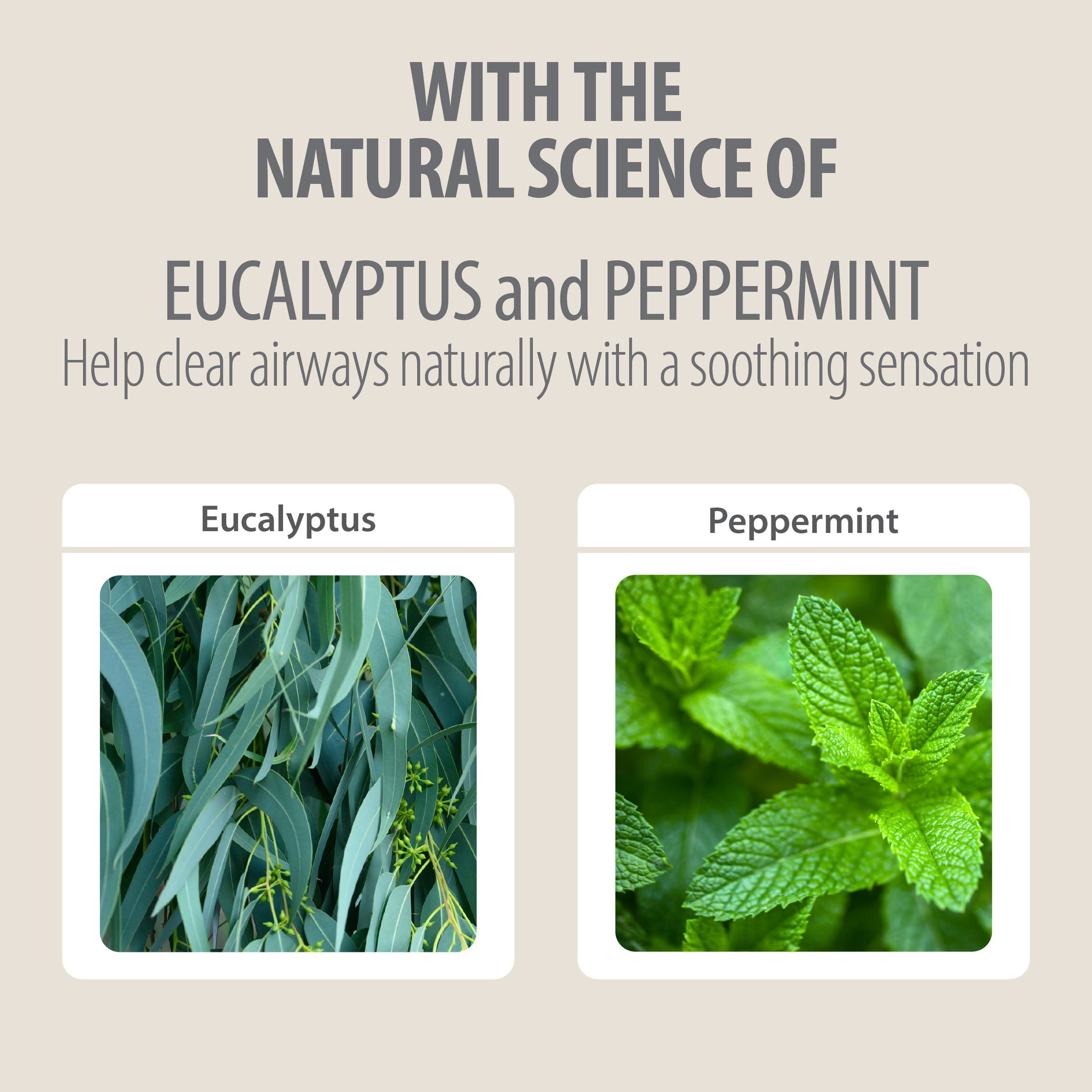 BABY & KIDS NATURAL CHEST RUB