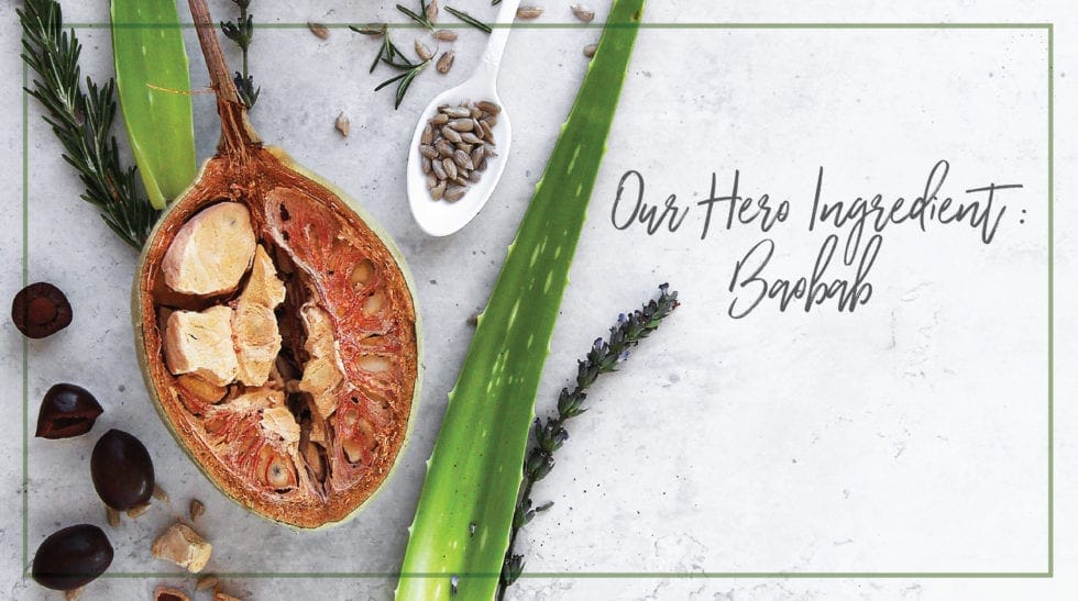 Our Hero Ingredient: Baobab