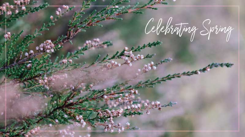 Celebrating Spring!