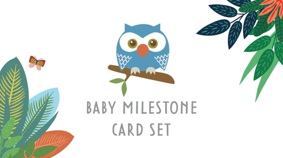 Baby Milestone Card Set