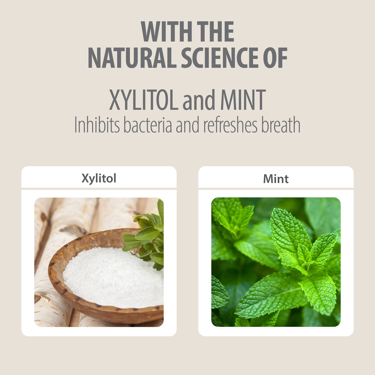 Fluoride-Free Mint Toothpaste with Xylitol | Family Safe – Pure Beginnings