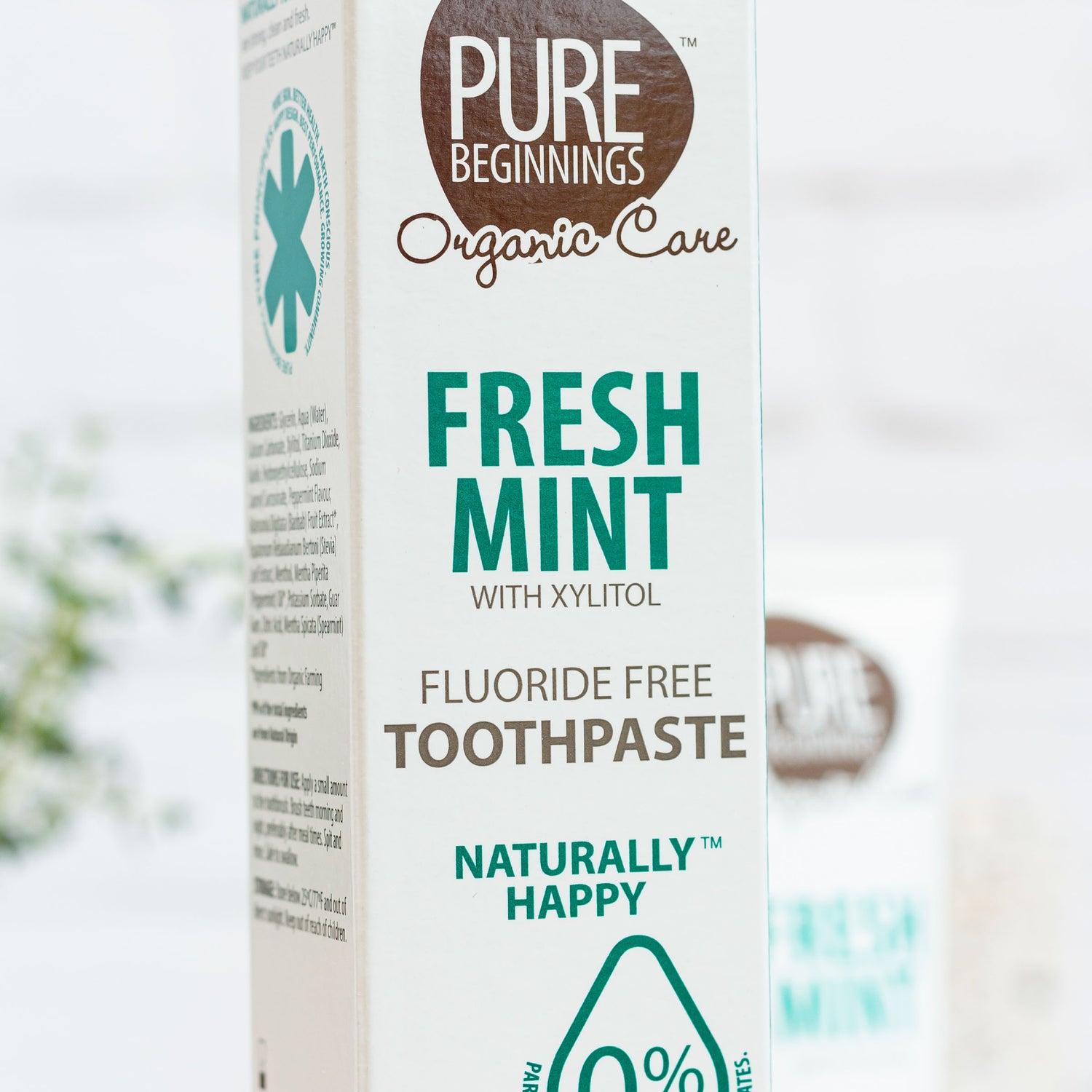 FRESH MINT TOOTHPASTE