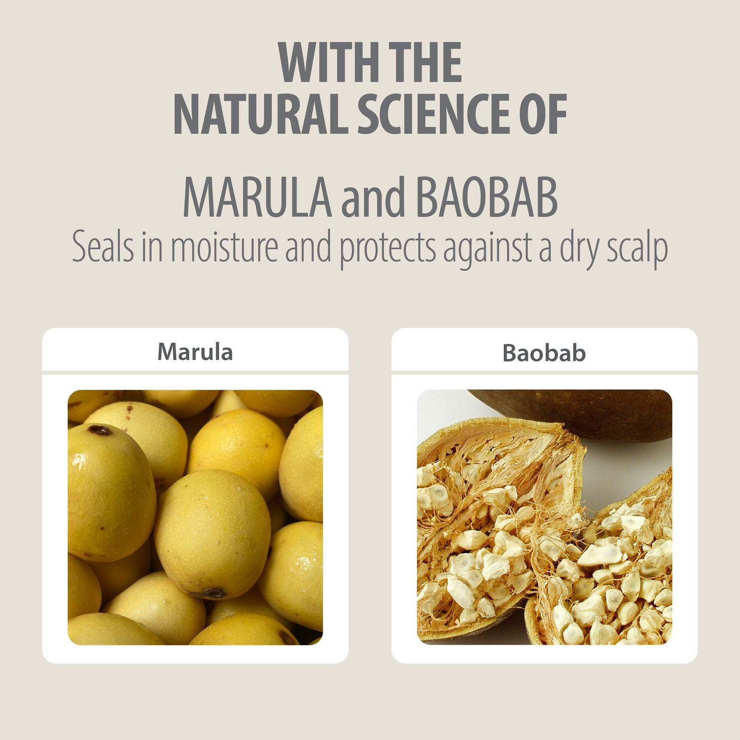 CONDITIONING SHAMPOO