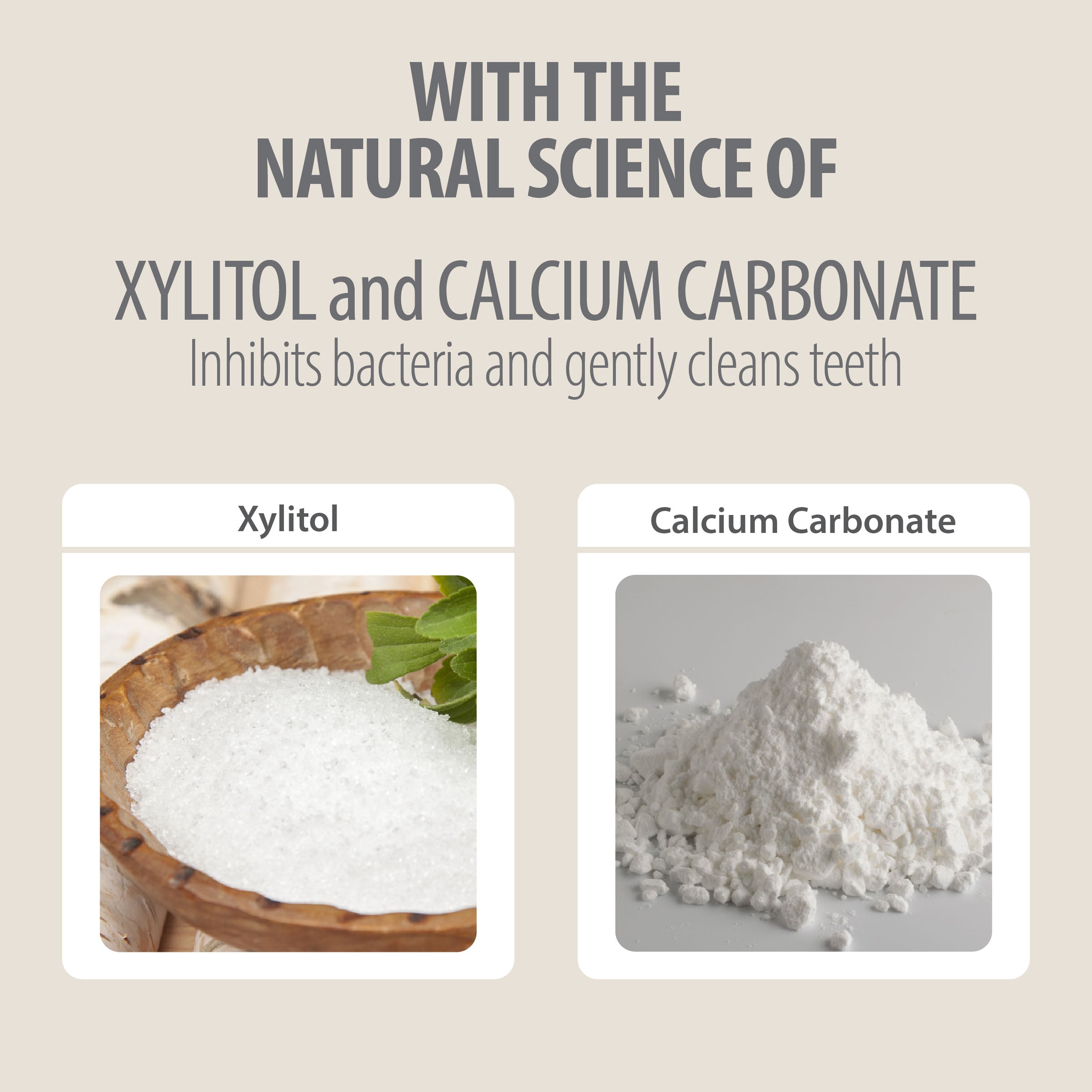 VANILLA MINT TOOTHPASTE