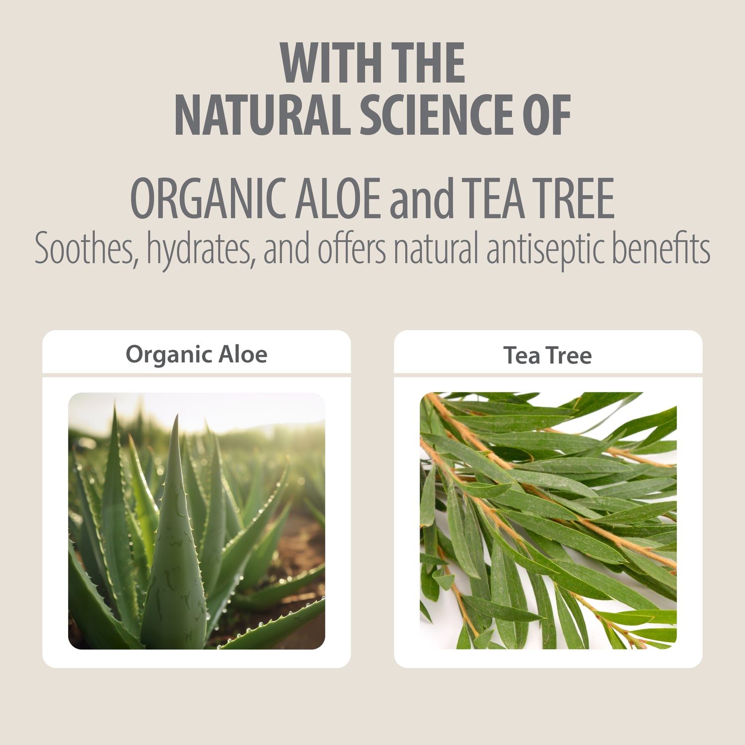 BIODEGRADABLE BABY WIPES (TRIPLE PACK)